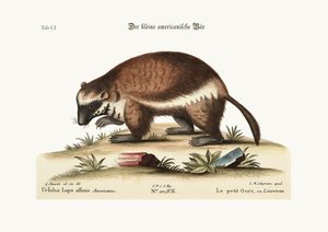 De Quick-Hatch of Wolverene